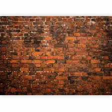 ZIEGELOPTIK MAUER STEINWAND