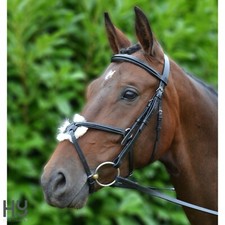 Mexikanische Trense mit