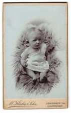 Fotografie M. Klaiber & Sohn