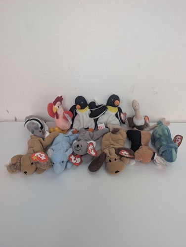Teenie beanie babys x11 - beanie,