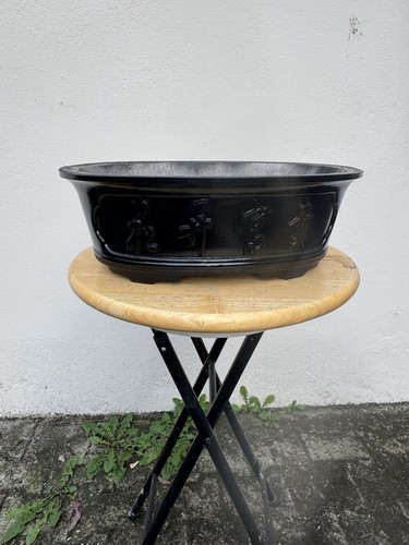 Bonsai prebonsai zement - bonsai/,