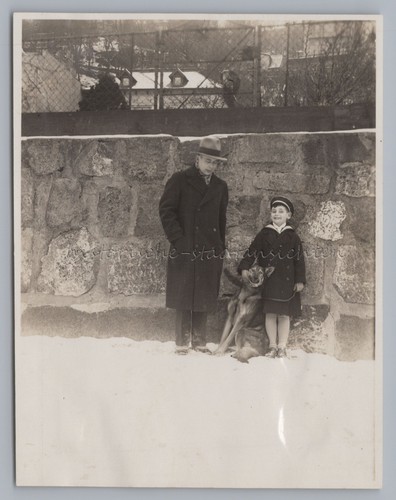 Junge mann schäferhund - junge, an