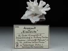 Aragonit, Var. Eisenblüte, Grube Himmelsfürst, Brand-Erbisdorf, Freiberg