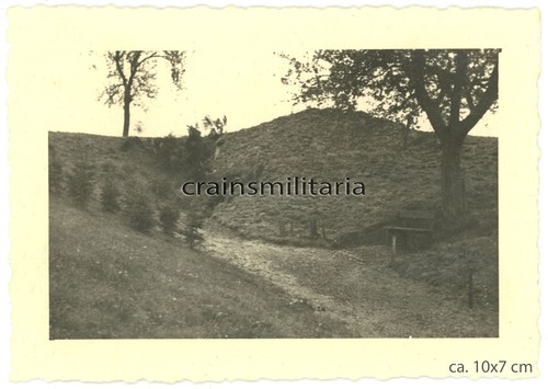Orig foto gut getarnter - foto,