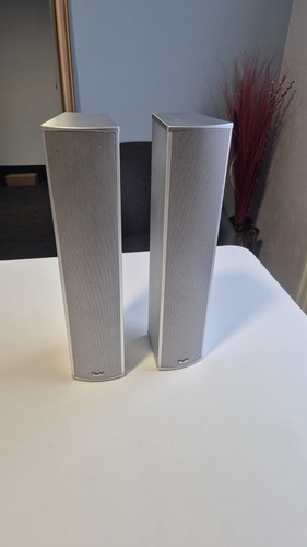 Teufel 302 fcr 100w - cl, 2x