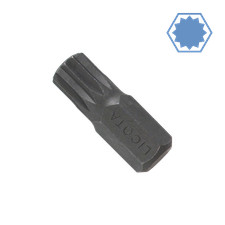 M6 Spline Bit 10mm Hex Bit aus