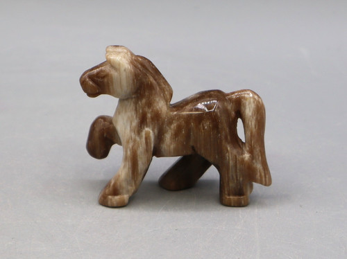 Wunderschönes pferd pony aus - wunderschönes,