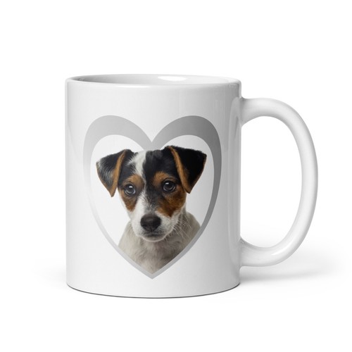 Love jack russel - i,