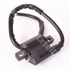 Geiwiz Zündspule - 1 Pin