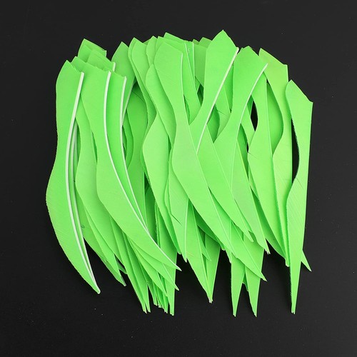50x zoll naturfeder - zoll,