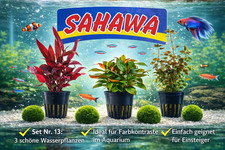 Aquarium Wasserpflanzen Set