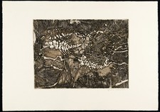 "Kerbtiere", 1962. Aquatinta