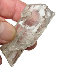 Gips xx  von  Graf Hohenthal Eisleben im Mansfelder Land in Sachsen - Anhalt