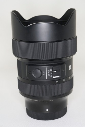 Sigma 2 8 dg - 14-24, 2.8