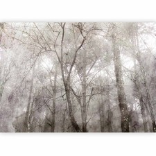 BÄUME NATUR Vlies Fototapete