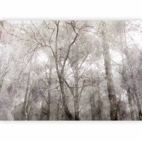 Bäume natur vlies - bÄume,