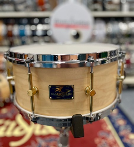 Canopus snaredrum the maple - canopus,
