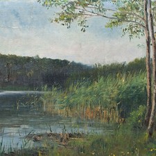 Landscape Shore Water Forest