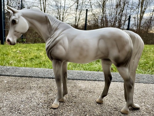Peter stone pferd arabian mare - arabian,