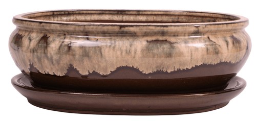 Bonsai schale oval 5 - bonsai,