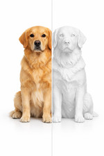 Personalisierte 3D Figur Hund