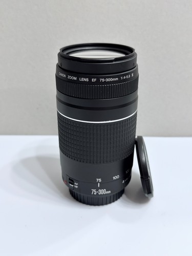 Canon 300 4 5 6 - 75-300, iii