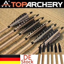 12 Stück Holzpfeile