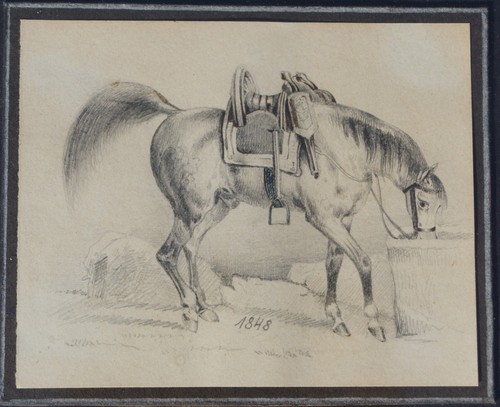 Pferd zeichnung 1848 - pferd,,