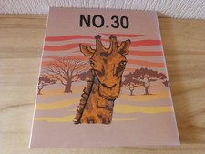 Brother Stickkarte Nr. 30