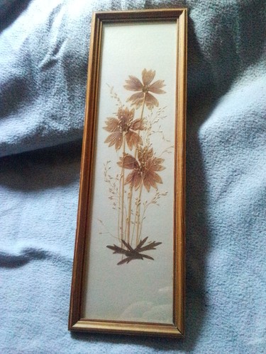 Ddr wandbild bild getrocknete - ddr,