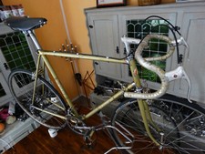 Galmozzi gamba campagnolo - galmozzi-/-gamba,