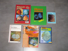 Verschiedene Diskus Fische