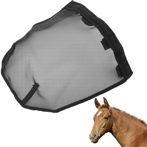 Pferde nasenschutz maske - pferde,
