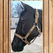 Hamilton Halfter "Quality" mit