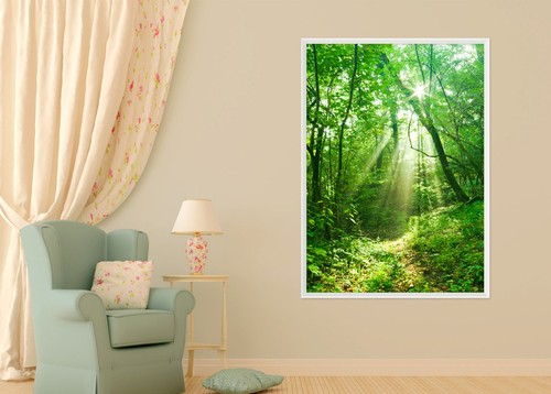Wald kleine straße 6 - wald,