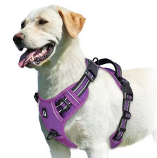 Hundegeschirr