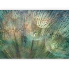 Pusteblume natur vlies - pusteblume,