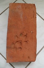  Alte Mauerstein rustikale Ziegel Unikat, Klosterformatziegel mit Pfote, 1 Stück