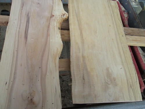 Buchenholz buche deko - x,