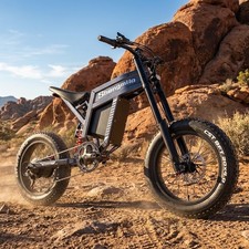 20 Zoll 1500W Elektrofahrrad