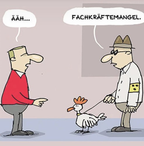 Gassigehen dogwalker sucht - dogwalker,