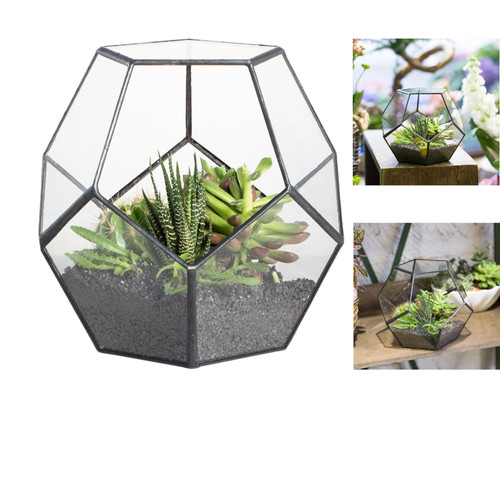 Ncyp glas terrarium dodekaeder - terrarium,