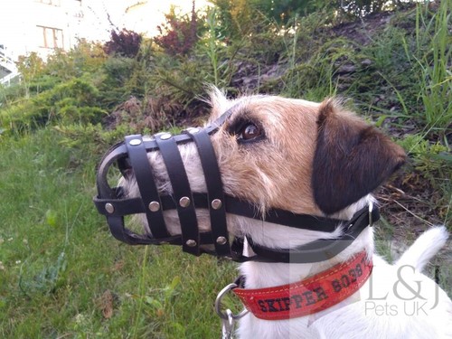 Leder hundemaulkorb für jack - hundemaulkorb,