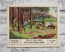 Bäume gefällt Buch ensteht