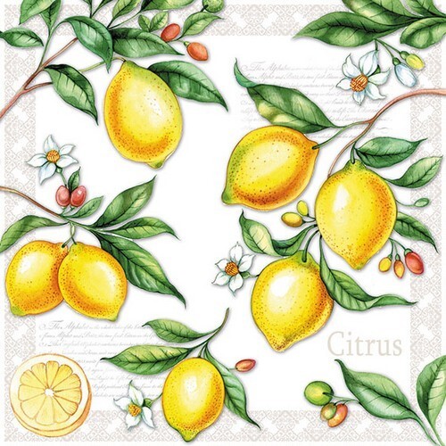 Servietten citrus - 20,