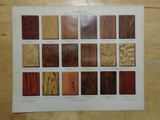 Genuine(1906) Chromolithograph