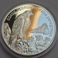 20 Zloty 2008 Wanderfalke Sokol Wedrowny Falke Tier Motiv Ag POLEN Silber PP