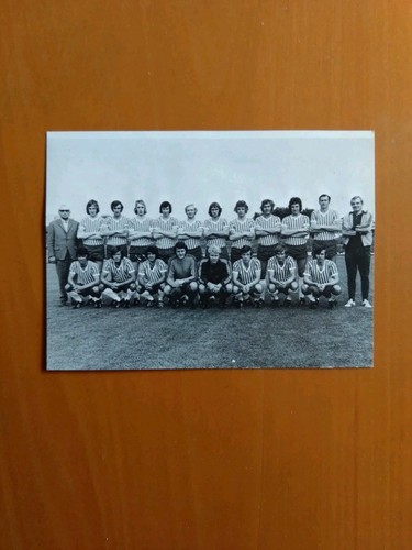 Vfl osnabrück - vfl,