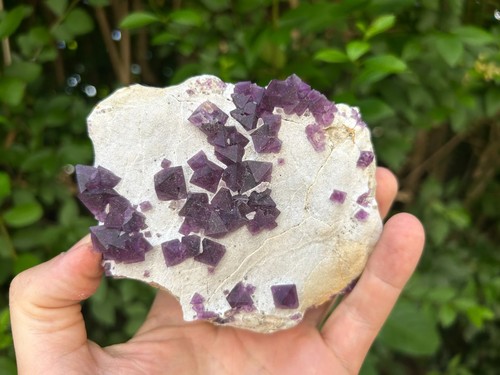 Fluorite purple - xx,