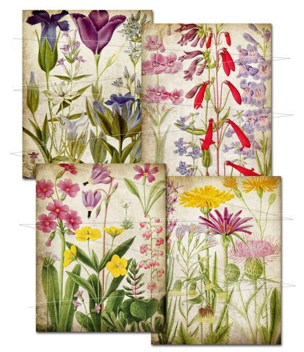 Scrapbook papier basteln - a4,